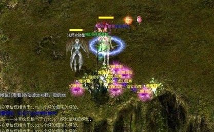 幻兽获取途径多样，技能、幻化、进化及装备锻造全解析
